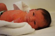 bebes-recem-nascidos-231x155